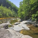 전천로 | 동해시 애견동반숙소 TOP 6개 봄에 인기하는 감성숙소 후기 많은 곳