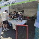 천안 수신멜론 축제 솔직 후기, 멜론이용권 사용 방법 꿀팁 및 주차장 혼잡도
