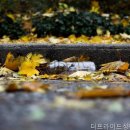 더프라이드성형외과의원 네이버블로그