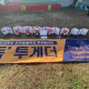 강화애견훈련학교 이미지