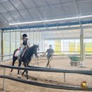 화성파크 | 호스피아 학생승마 신청방법 &amp; 화성홀스파크 후기 🐴