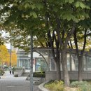 호텔당근 | 대방역 공군호텔 연회장 알바 후기 당근알바추천