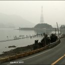신지지 이미지