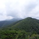 예기치 못한 무박2일 산행! - 삼척 대방산(423.5m)~벌뱅이산(480.1m)~갈매기산(663.0m) 이미지