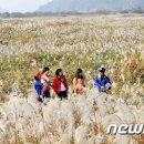 송강천 이미지