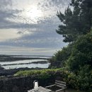 섬집오후 이미지