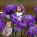 새암어린이집 - 창원시 마산합포구 | 새암어린이집