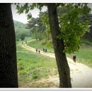 목장길따라 티스토리