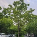 코오롱애견 이미지