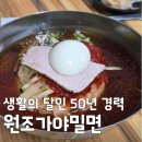 강산원조밀면 | [생활의 달인 은둔식달] 50년 경력 부산 사하구 원조가야밀면 위치 정보