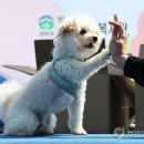 낙성대동-9 이미지