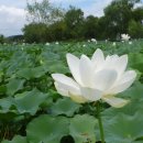 벧엘메디칼 이미지