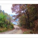 양평꿈의마을오토캠핑장 이미지