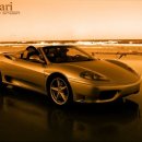 세상의모든자동차 이미지