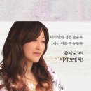 밀림여관 이미지