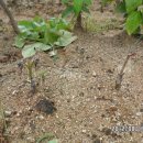 갯벌농장 이미지