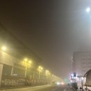 붕붕주유소 | [스페인 교환학생][베니스]돌로미티도 두드려보고 건너라