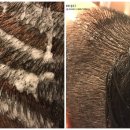 주식회사 네츄럴프로 이미지