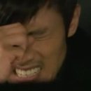도그원 이미지