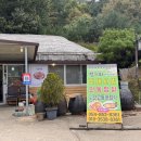 [경북 / 안동] 청기와민속식당 안동하회마을 전통민속음식 안동찜닭의 근원지 탐방