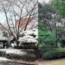 나우리인성관 | 한기대 견행학을 수강한 4학년 2학기 공대생의 후기&amp;강의평가 (코리아텍 재학생들 주목~!)
