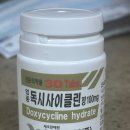 영풍제약(주) | 독시사이클린 3개월 복용 후기, 드라이성 주사피부염에는 효과가 있었을까?
