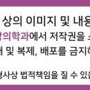 성모빛정신건강의학과의원 이미지