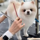 수원-0591 이미지