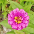 우이천 산책로 이미지