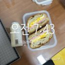 원과네모 | 다이어트 식단템 추천 : 널담 네모바게트 내돈내산 후기