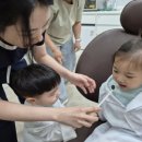 사과나무치과병원 이미지