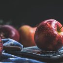 SD 복싱짐 이미지