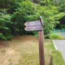 한숲로57번길 | 경기도 용인 처인구 등산 : 등산 초보 연계산행 용인 어산 십자봉 등산코스 주차 정보