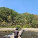 강물이 흐르는 곳 앞 간이화장실 | 강원 횡성 섬강둘레길 가벼운 산책(2.1km 40분소요)