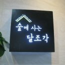 숲에사는달조각 이미지
