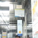 메이저타워(메이저빌딩) 이미지