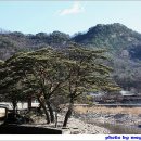 촌락슈퍼 이미지