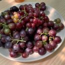 청양금강농장 이미지