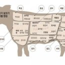 솜소밍 이미지