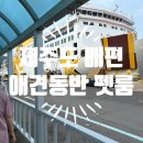 싸다펫 | 완도-제주 왕복 배편 골드스텔라 애견동반 펫룸 탑승 후기 : 2가지 꿀팁 포함