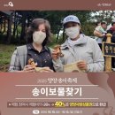 양양군 야구장 이미지