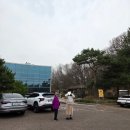 부천자연생태공원 | 부천 자연생태공원 4월 초 부천무릉도원수목원 튤립 개화 상태