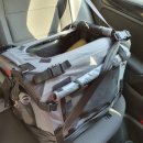 하나켄넬 이미지