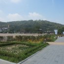 오늘통닭화성