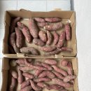 (주)림스 이미지