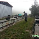 아침 이레 농장 이미지