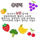 오늘도점핑&체온
