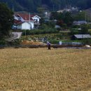 미계 신의련 유적비 이미지