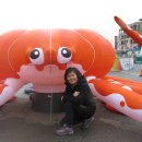 강릉목장 이미지