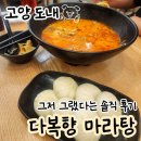 도내로 | 다복향마라탕 도내점 평범, 샤오롱바오 비추 내돈내산